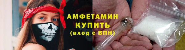 МДПВ Дмитриев
