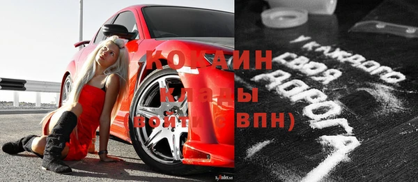 МДПВ Дмитриев