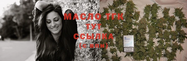 МДПВ Дмитриев