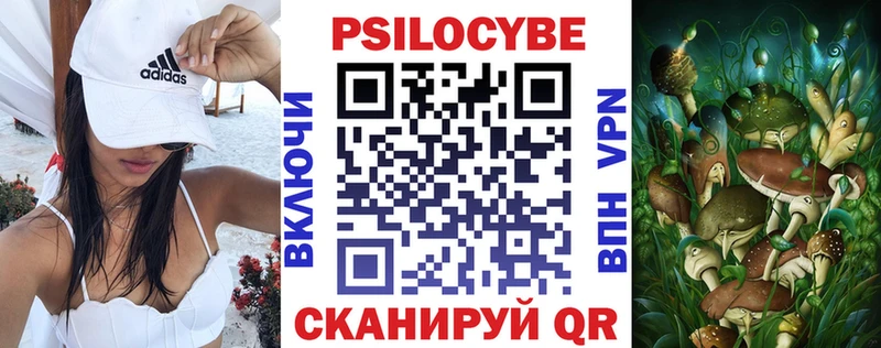 Псилоцибиновые грибы мицелий  Купить где  Устюжна 